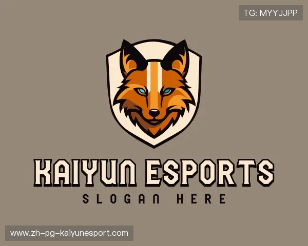 解读开云电竞官网